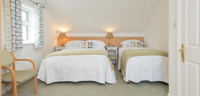 Petra House B&B Galway Dış mekan fotoğraf