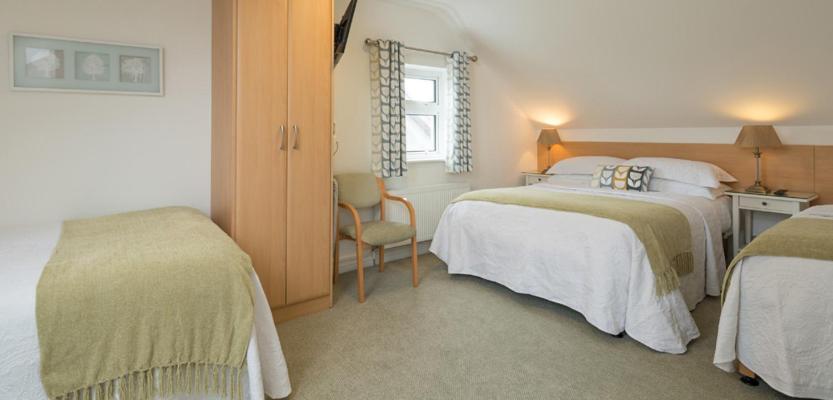 Petra House B&B Galway Dış mekan fotoğraf